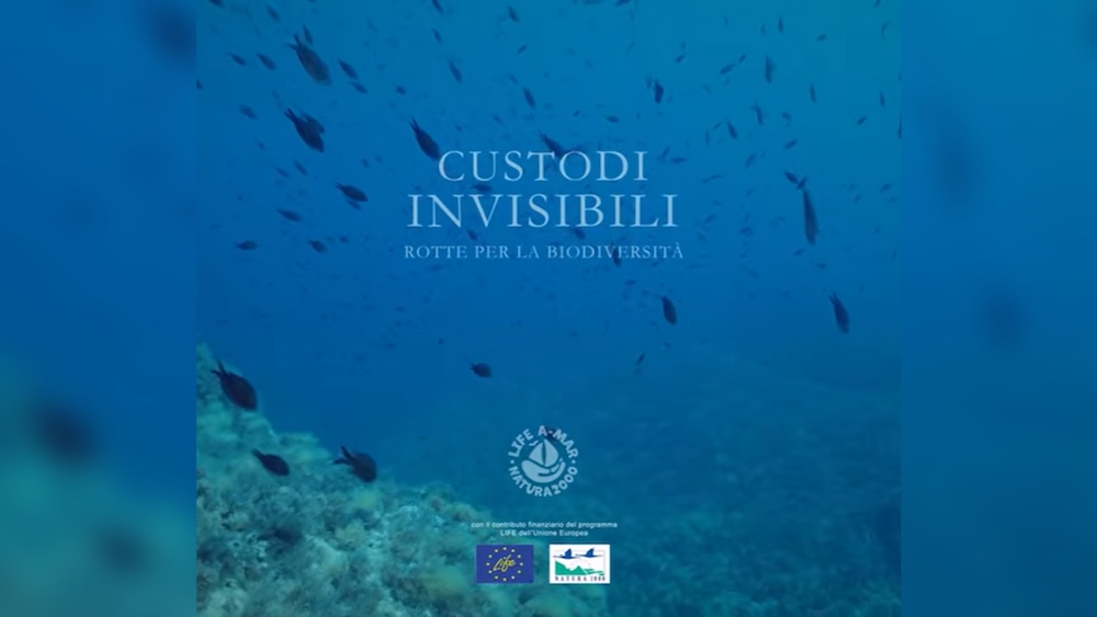 custodi_invisibili210226