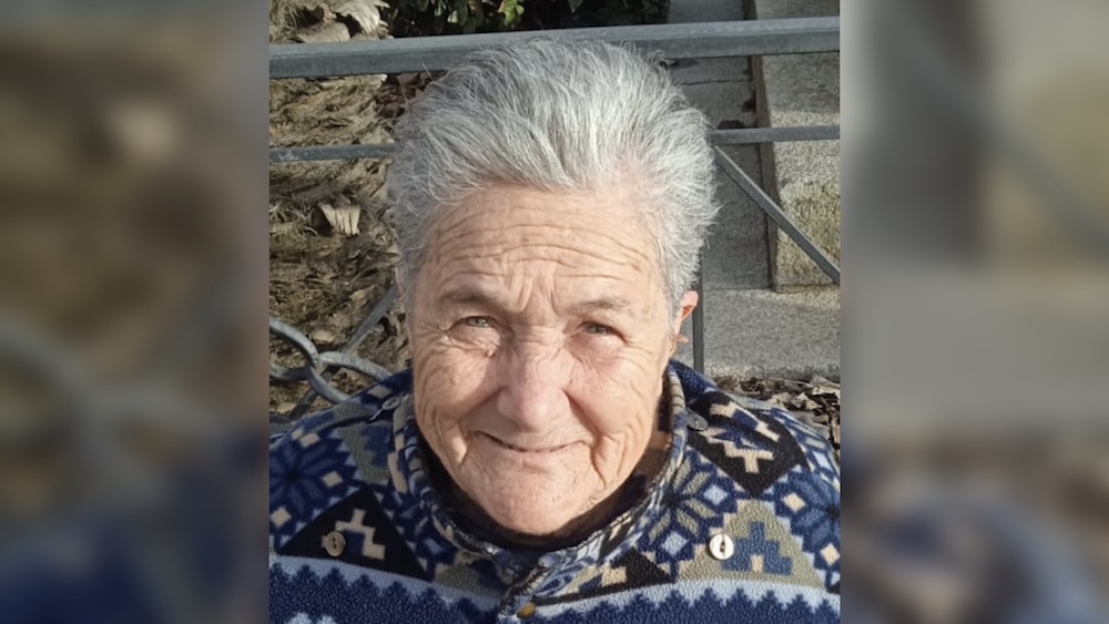 grieco margherita isola del giglio giglionews