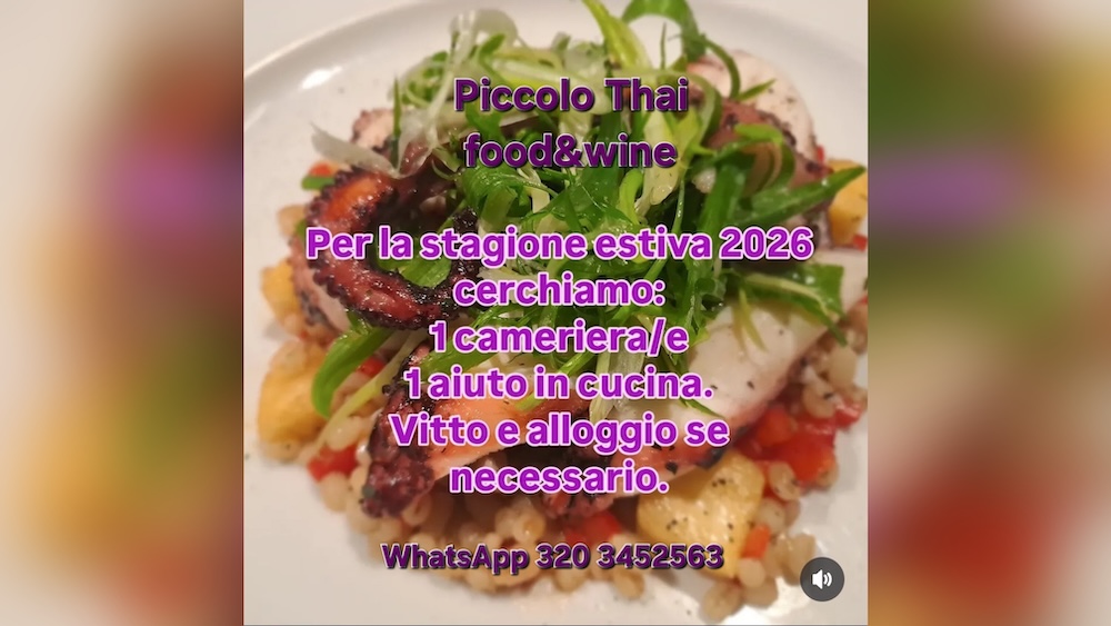 offerta lavoro piccolo thai isola del giglio giglionews