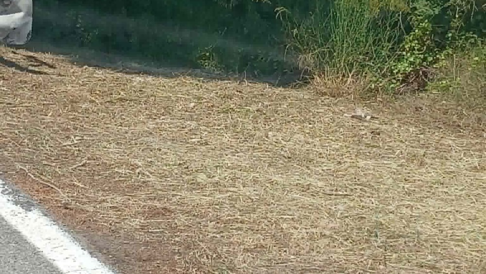 pulizia_strada_provincia_300526_6_rit