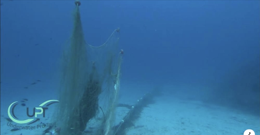 rete underwater pro tour isola del giglio giglionews