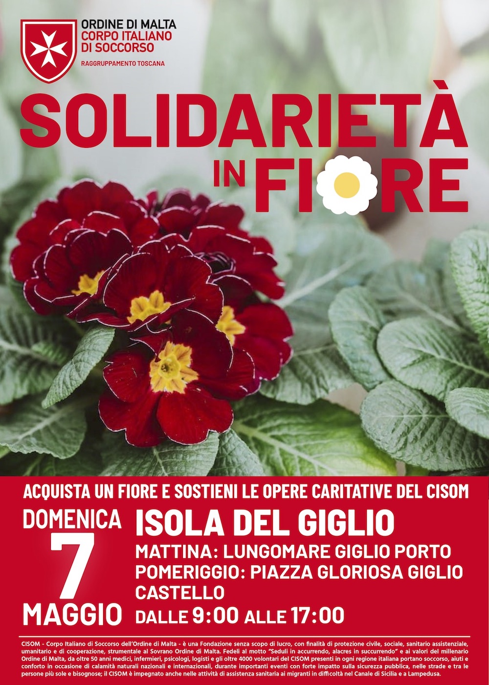 solidarieta_in_fiore040523