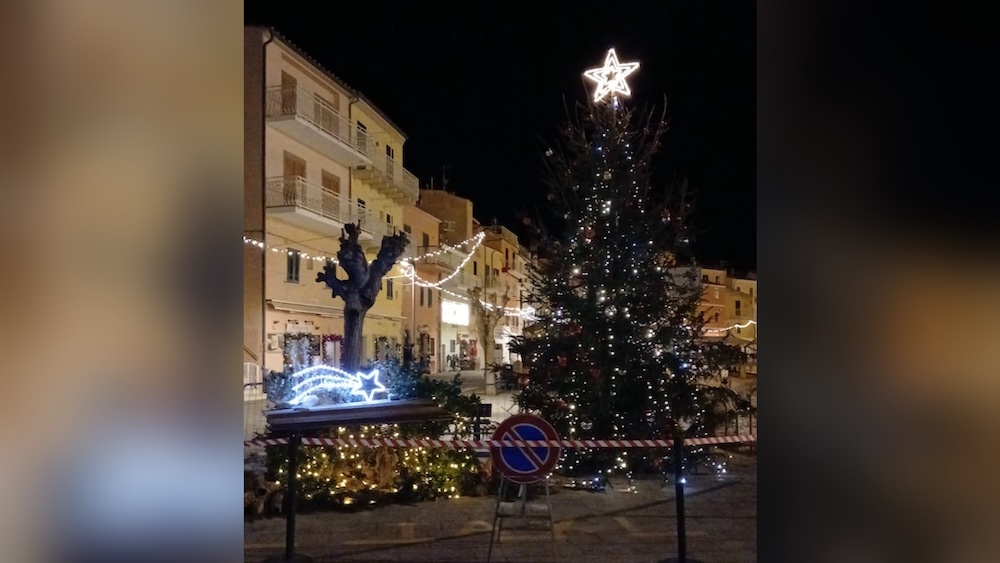 stella_cometa_circolo_nautico221225