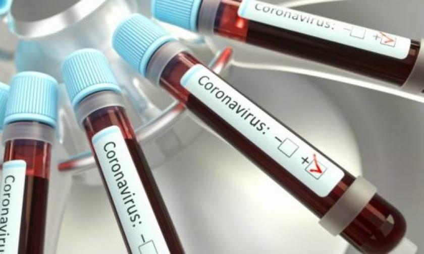 test sierologici comune isola del giglio giglionews coronavirus covid-19
