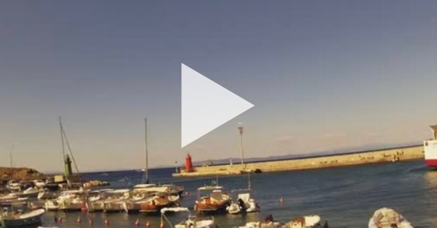 webcam live streaming circolo nautico isola del giglio giglionews